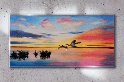 Obraz na skle Lake Birds Sunset