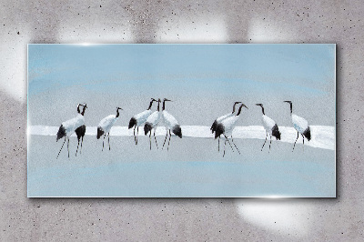 Obraz na skle Zvířata ptáci