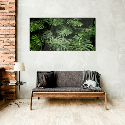 Obraz na skle Tropické Monstera Listy