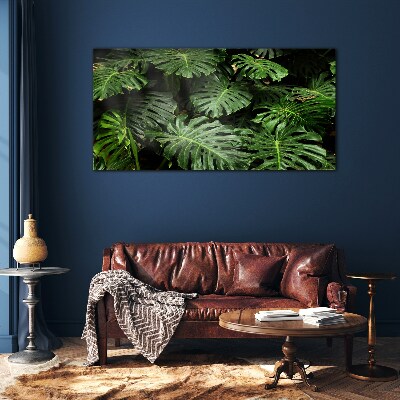 Obraz na skle Tropické Monstera Listy