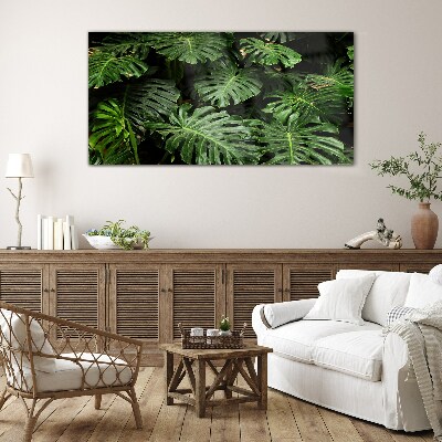Obraz na skle Tropické Monstera Listy