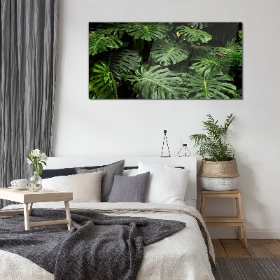 Obraz na skle Tropické Monstera Listy