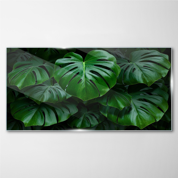 Obraz na skle Zelená symfonie listů Monstera