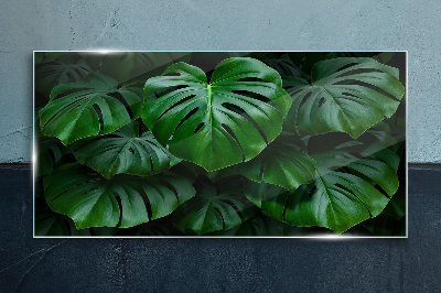 Obraz na skle Zelená symfonie listů Monstera