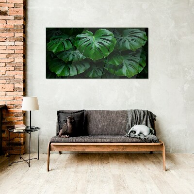Obraz na skle Zelená symfonie listů Monstera