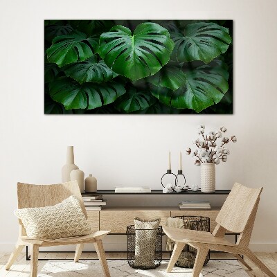 Obraz na skle Zelená symfonie listů Monstera