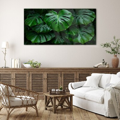Obraz na skle Zelená symfonie listů Monstera