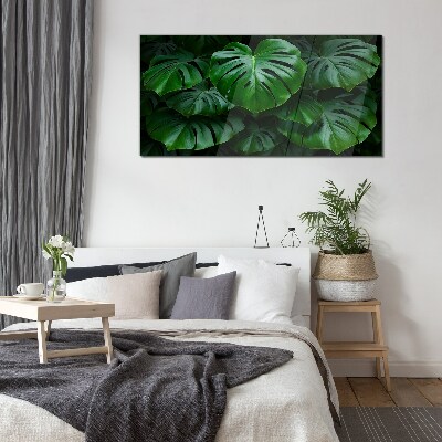 Obraz na skle Zelená symfonie listů Monstera