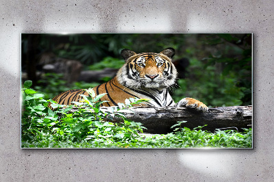 Obraz na skle Lesní zvířecí kočka tygr