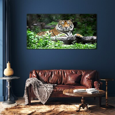 Obraz na skle Lesní zvířecí kočka tygr