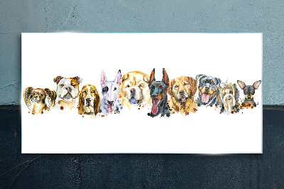 Obraz na skle Moderní zvířata psi