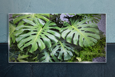 Obraz na skle Botanické listy rostlin