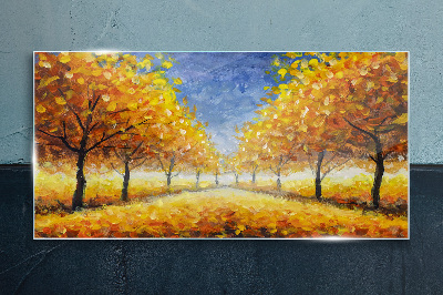 Obraz na skle Park Stromy podzimní listí