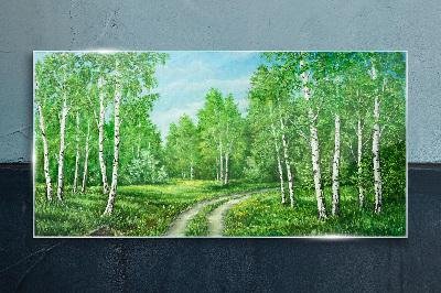 Obraz na skle Zelený les s bílými břízami