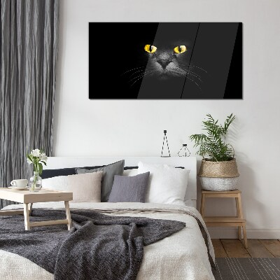 Obraz na skle Zvířata kočky oči