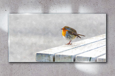 Obraz na skle Robin na bílé tabuli