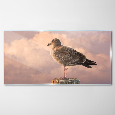 Obraz na skle Zvířecí pták Seagull Sky
