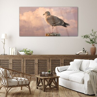 Obraz na skle Zvířecí pták Seagull Sky