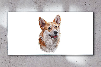 Obraz na skle Portrét veselého psa Corgi