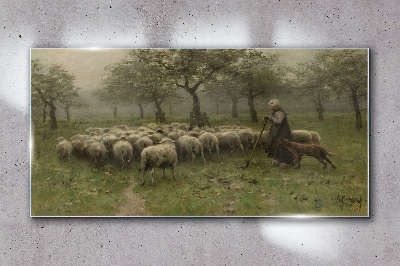 Obraz na skle Rustikální strom ovce ovce