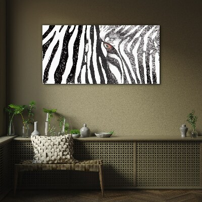 Obraz na skle Zebra v monochromatickém stylu