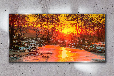 Obraz na skle Lesní řeka Sněhová příroda