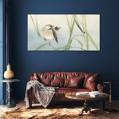 Obraz na skle Zvířecí pták vrabec