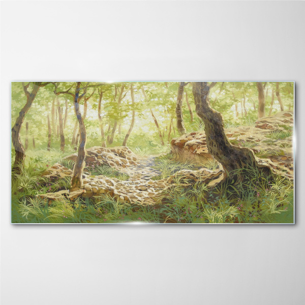 Obraz na skle Lesní skalní příroda