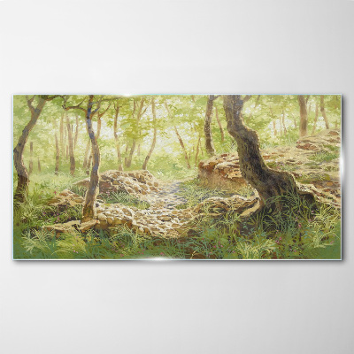 Obraz na skle Lesní skalní příroda