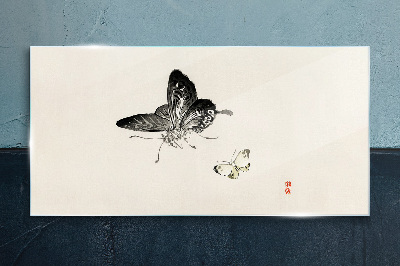 Obraz na skle Moderní hmyz motýl