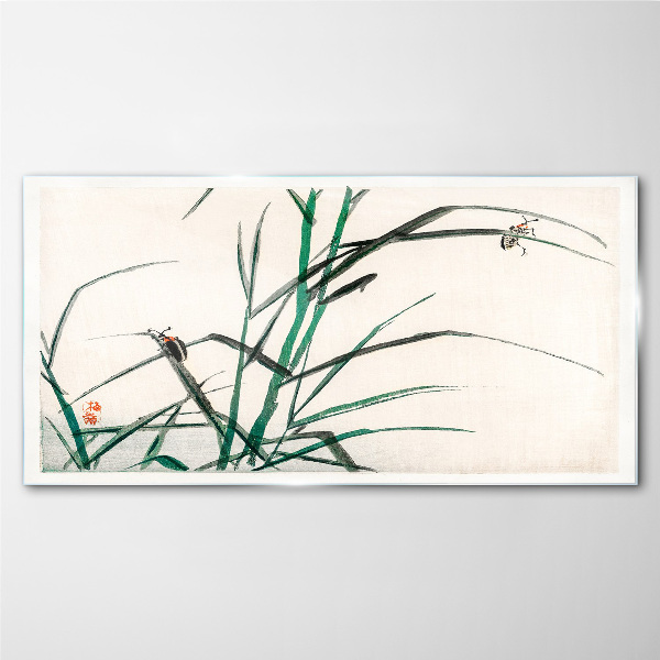 Obraz na skle Asijské hmyz větve