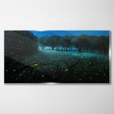 Obraz na skle Lesní noční fireflies