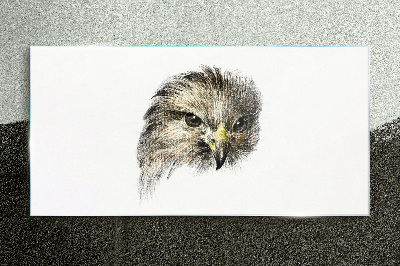 Obraz na skle kreslení zvířat pták