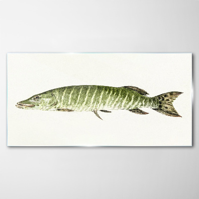 Obraz na skle Muskie ve svém přirozeném prostředí
