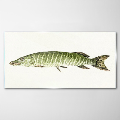 Obraz na skle Zvířecí ryby