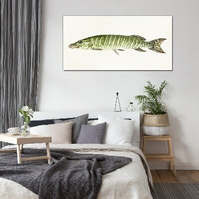 Obraz na skle Zvířecí ryby