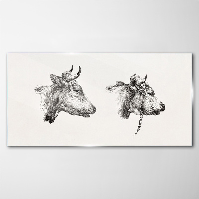 Obraz na skle Kresba krávy zvířat
