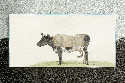 Obraz na skle Kráva