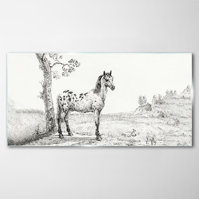 Obraz na skle Kresba koní zvířata