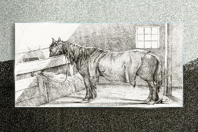 Obraz na skle Kreslení zvířecího koně