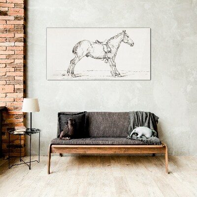 Obraz na skle Kreslení zvířecího koně