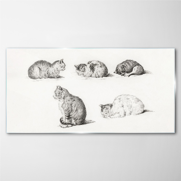 Obraz na skle Kreslení zvířat koček