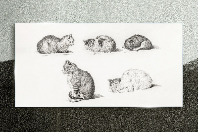 Obraz na skle Kreslení zvířat koček
