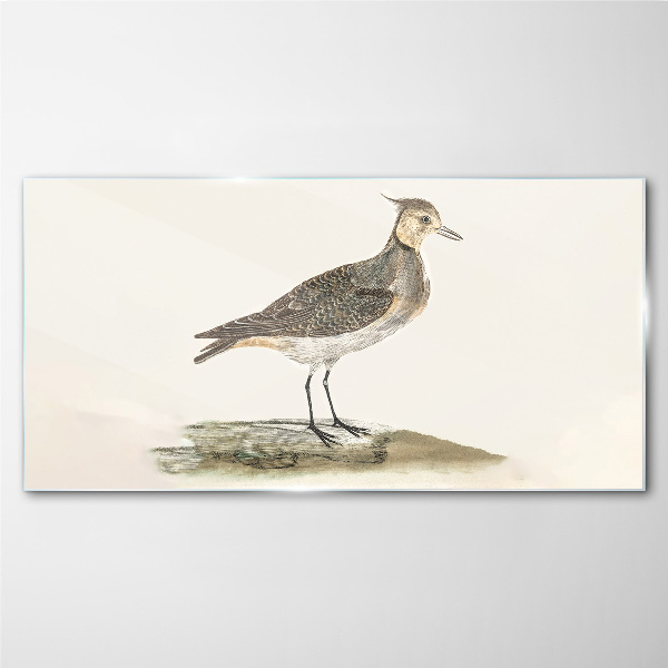 Obraz na skle Moderní zvířecí pták