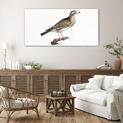 Obraz na skle Kreslení větev zvířat pták