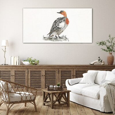 Obraz na skle Kreslení zvířat pták kachna