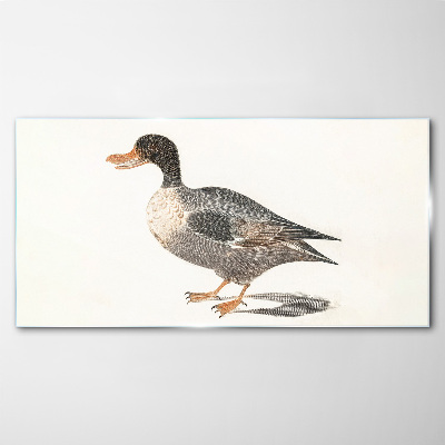 Obraz na skle Kreslení pták kachna