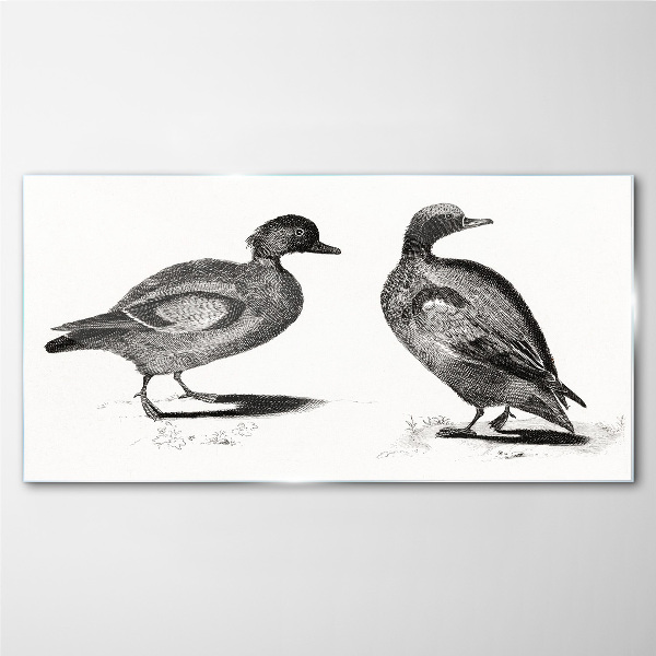 Obraz na skle Dvě kachny v monochromatickém stylu