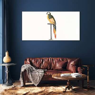 Obraz na skle Kreslení zvířecí pták papoušek