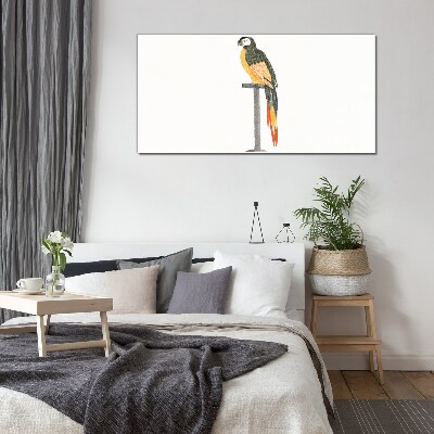 Obraz na skle Kreslení zvířecí pták papoušek